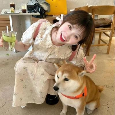 动物