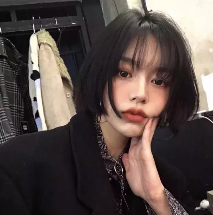 东方秃鹰